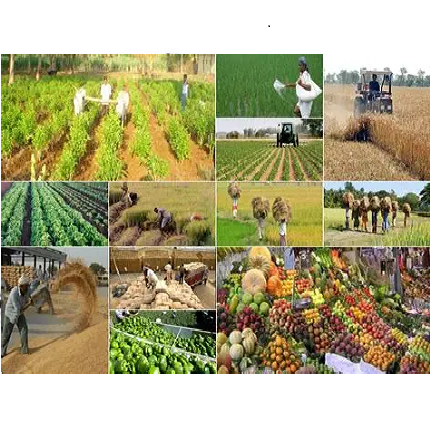 Agriculture Cateogry